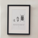 Quadro Decorativo |  Processo de Transformação