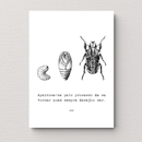 Quadro Decorativo |  Processo de Transformação